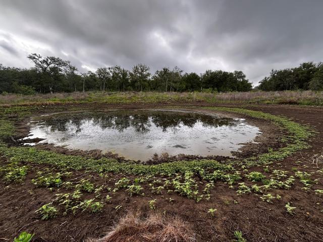 Farm for sale in Williamson, Texas