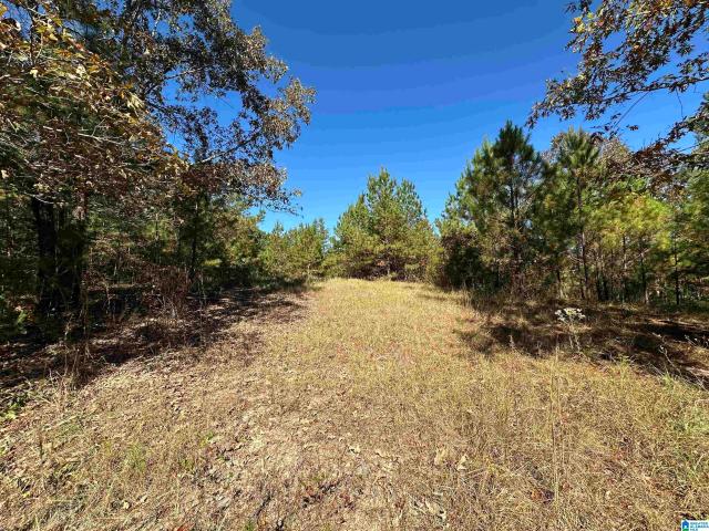 Land for sale in Vincent, Alabama