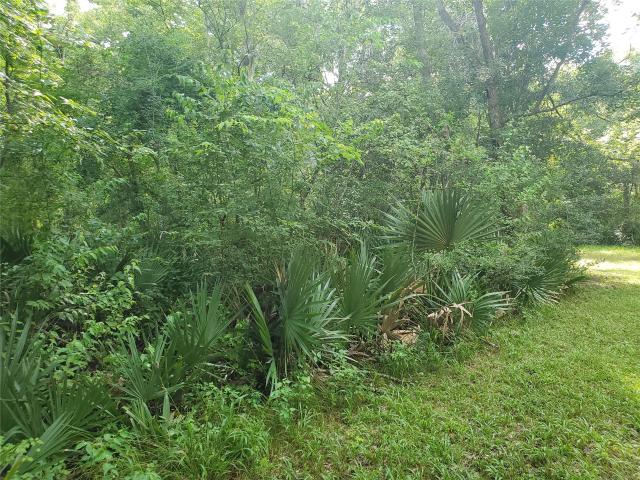 Land for sale in Sweeny, Texas