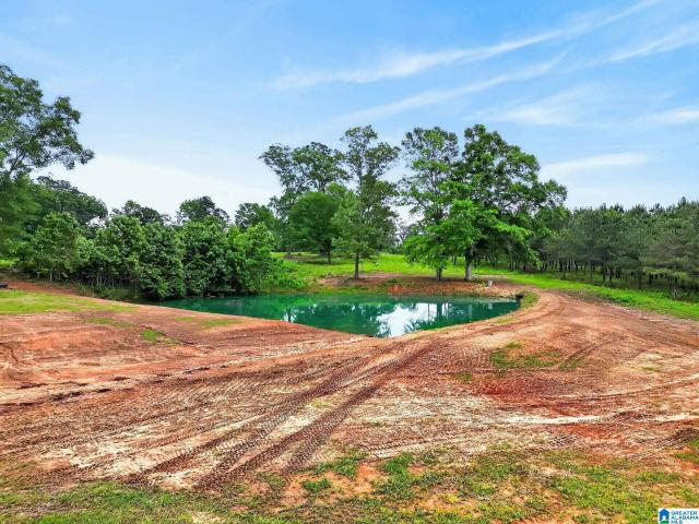 Land for sale in Clanton, Alabama