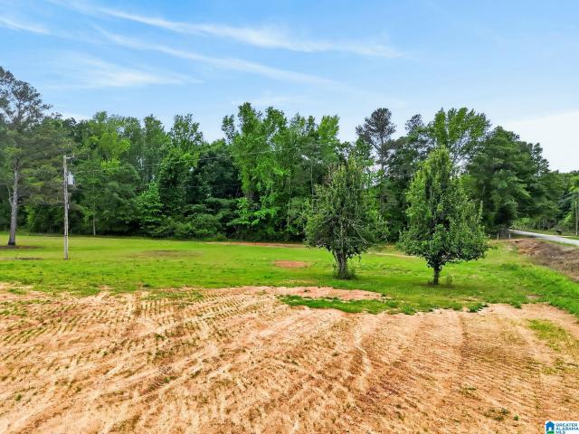 Land for sale in Clanton, Alabama