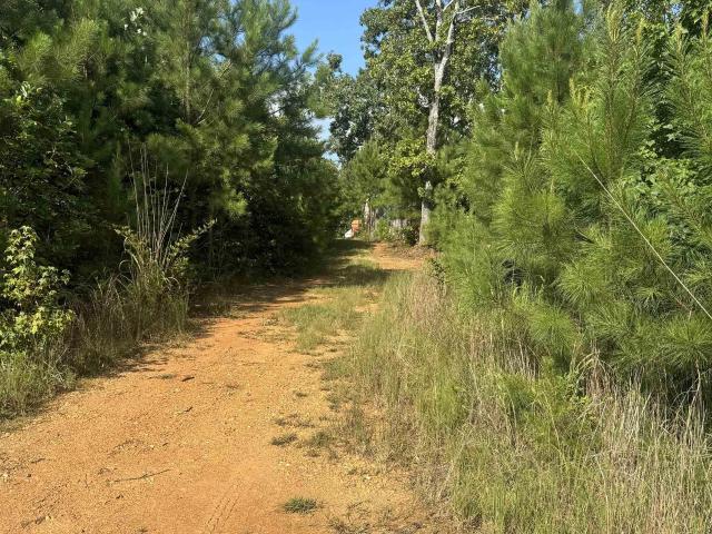 Land for sale in Muscadine, Alabama