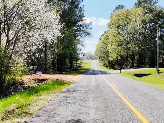 Land for sale in Headland, Alabama