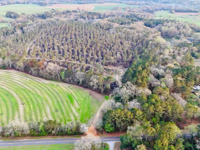 Land for sale in Headland, Alabama