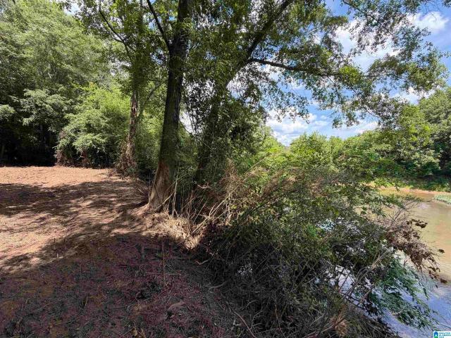 Land for sale in Woodland, Alabama