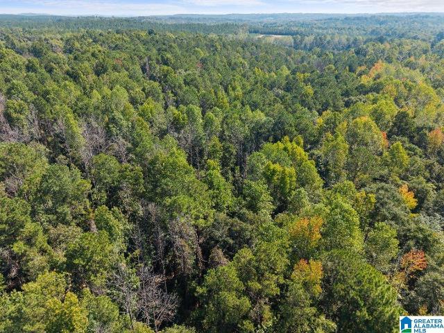 Land for sale in Clanton, Chilton County