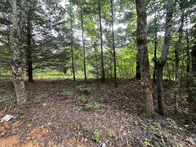 Land for sale in Anderson, Alabama