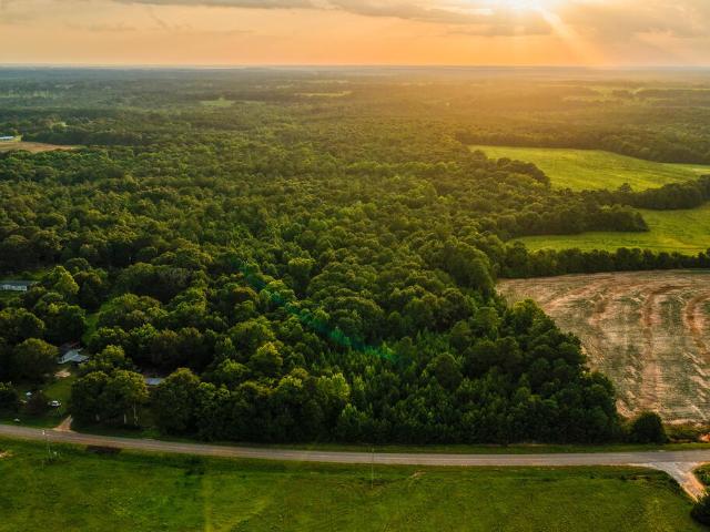 Land for sale in New Brockton, Alabama