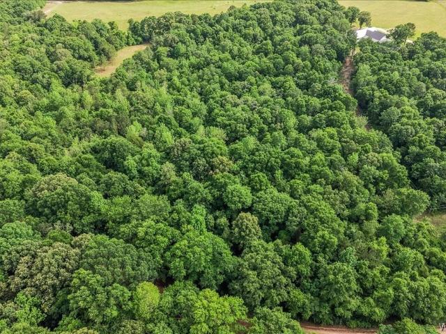 Land for sale in New Brockton, Alabama