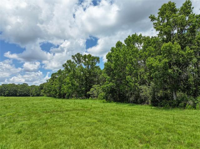 Land for sale in Jasper, Texas