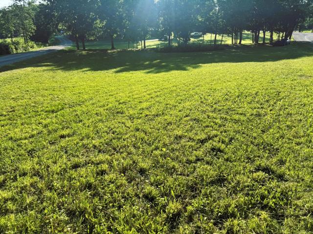 Land for sale in Tennessee