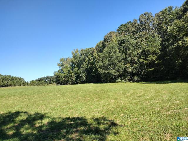 Land for sale in Roanoke, Alabama