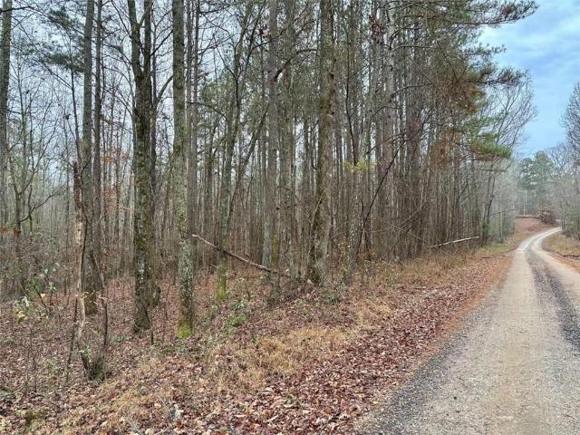Land for sale in Heflin, Alabama