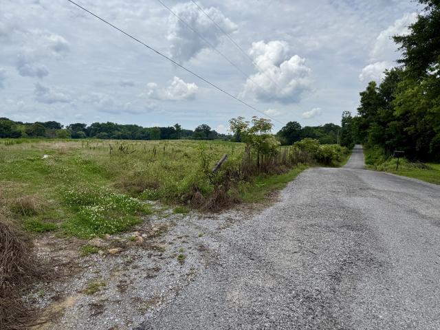 Land for sale in Hanceville, Cullman County