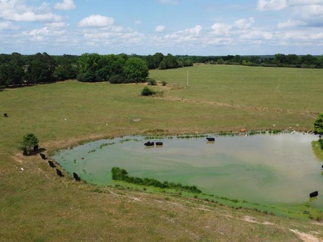Land for sale in Samson, Alabama