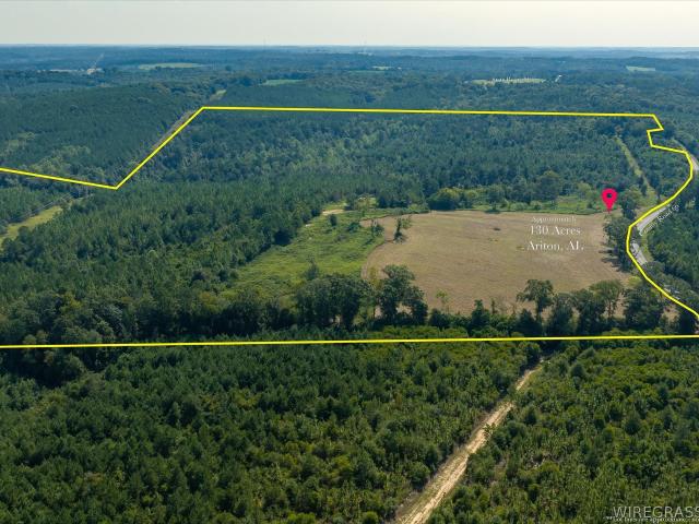Land for sale in Dale, Alabama