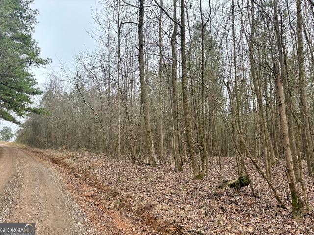 Land for sale in Ranburne, Alabama