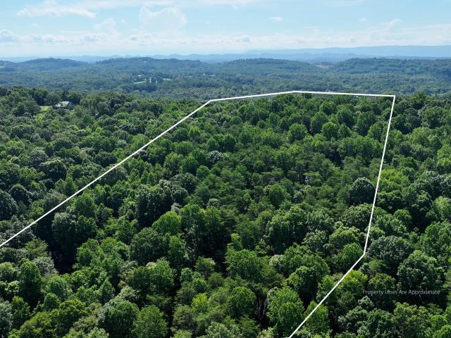 Land for sale in Riceville