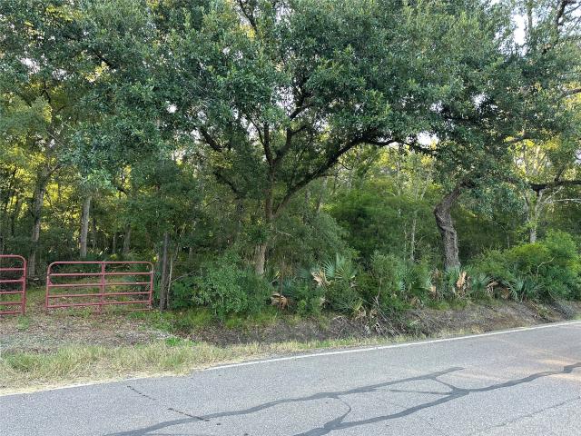 Land for sale in Sweeny, Texas