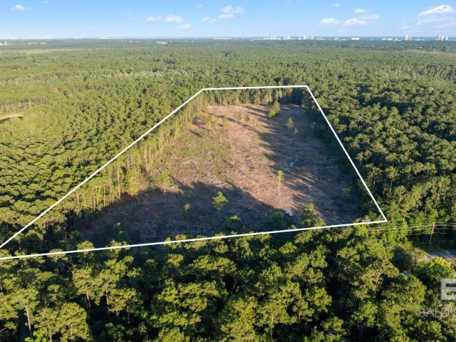 Land for sale in Gulf Shores, Alabama
