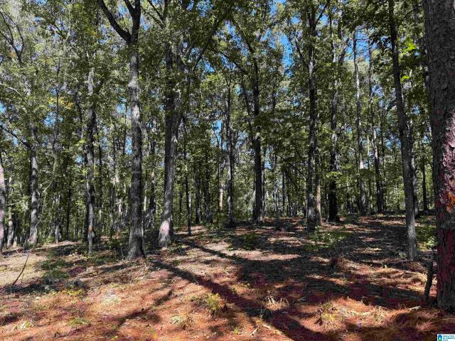 Land for sale in Roanoke, Randolph County