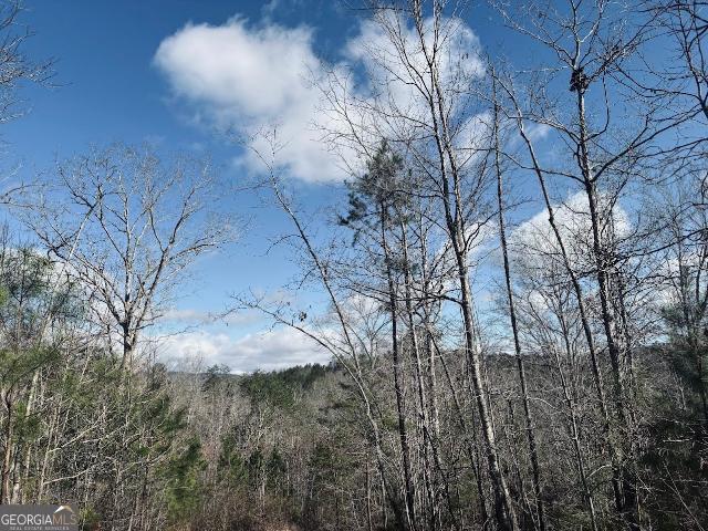 Property for sale in Valley Head, Alabama