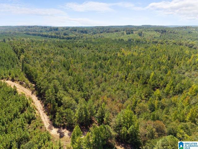Land for sale in Chilton County, Alabama