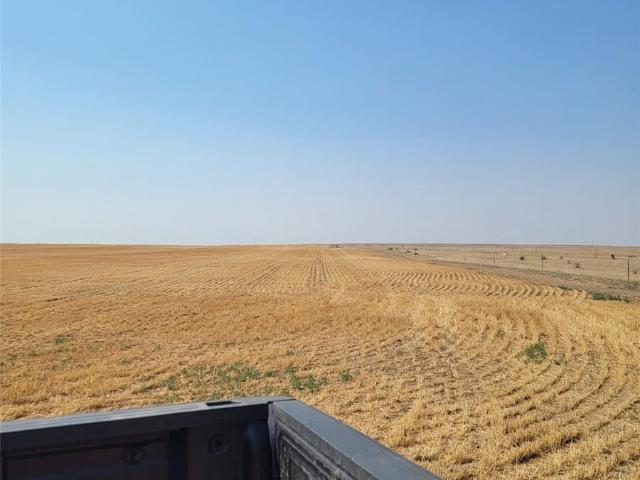 Land for sale in Roggen, Colorado