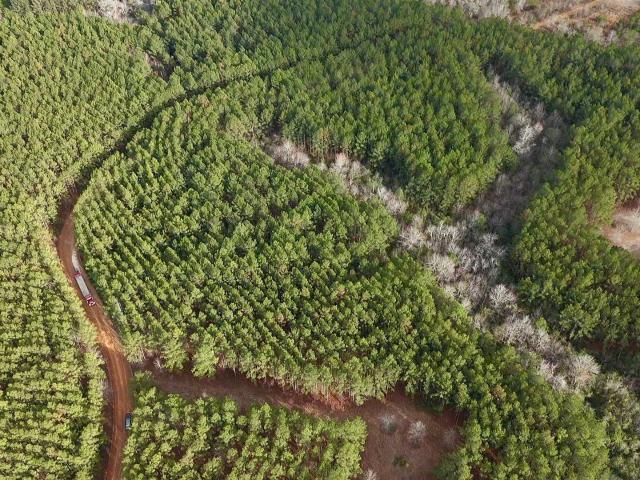 Land for sale in Milan, Georgia