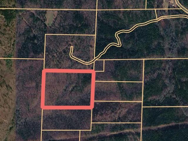Land for sale in Wedowee, Alabama