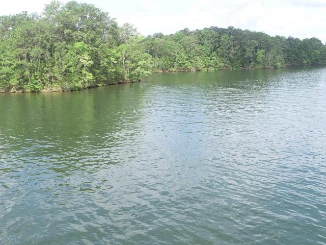 Land for sale in Wedowee, Alabama