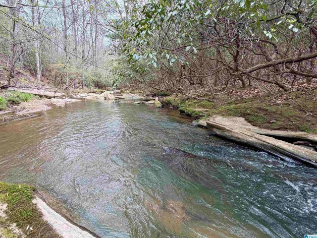 Land for sale in Wadley, Alabama