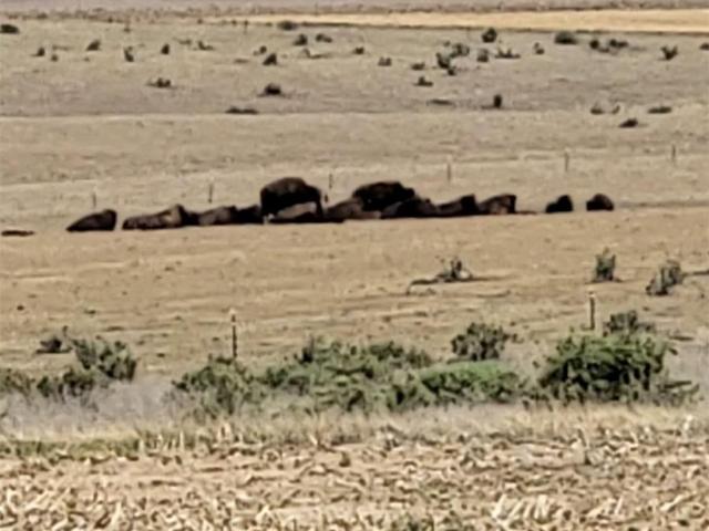 Land for sale in Roggen, Colorado