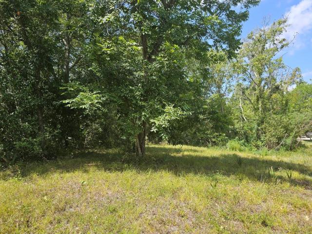 Land for sale in West Columbia, Texas