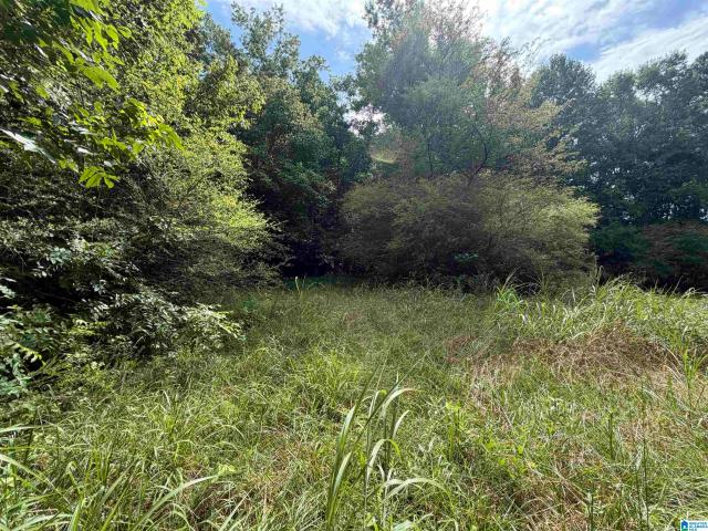 Land for sale in Woodland, Randolph County