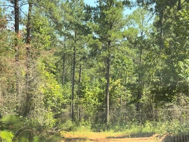 Land for sale in Wadley, Alabama