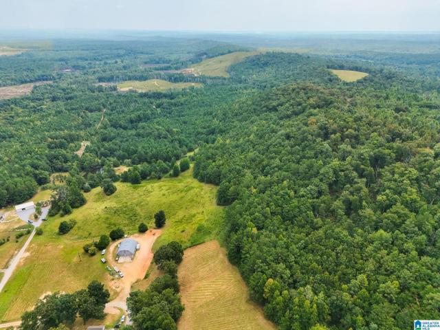 Land for sale in Clanton, Alabama