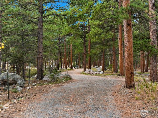 Land for sale in Allenspark, Colorado