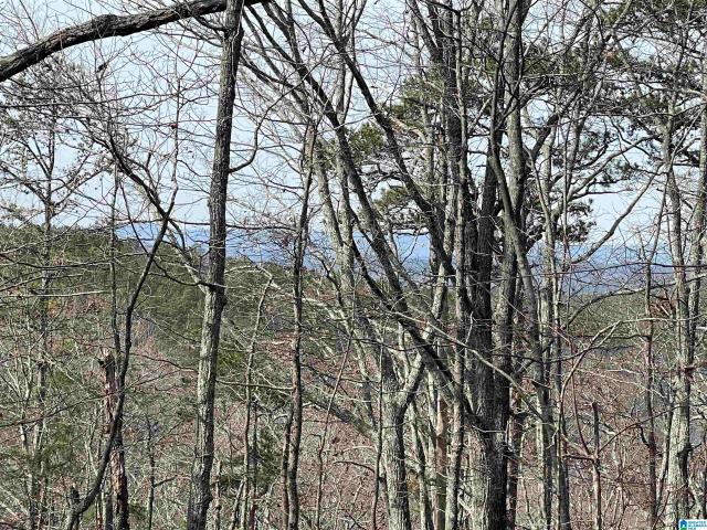Land for sale in Heflin, Alabama
