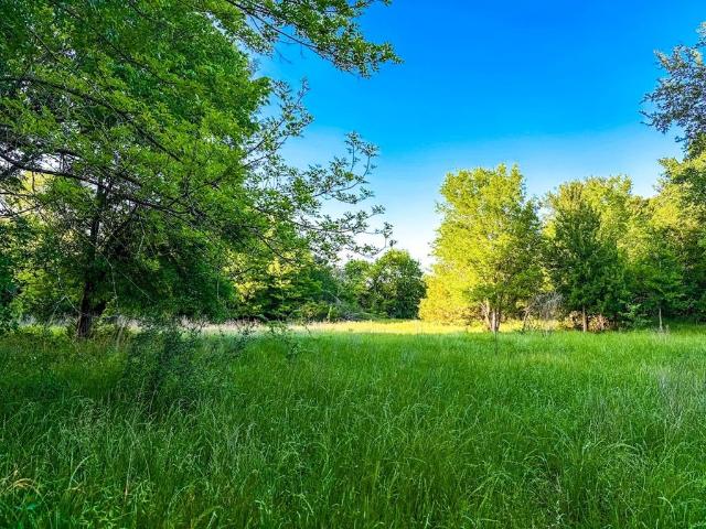 Land for sale in Teague, Texas