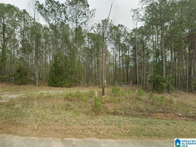 Land for sale in Wadley, Alabama