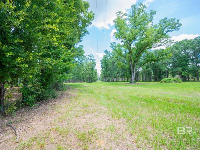 Land for sale in Bay Minette, Alabama