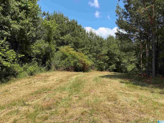Land for sale in Roanoke, Alabama