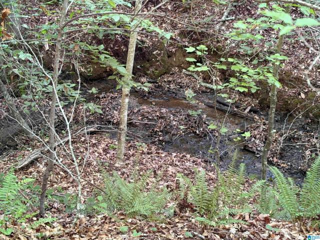 Land for sale in Roanoke, Alabama