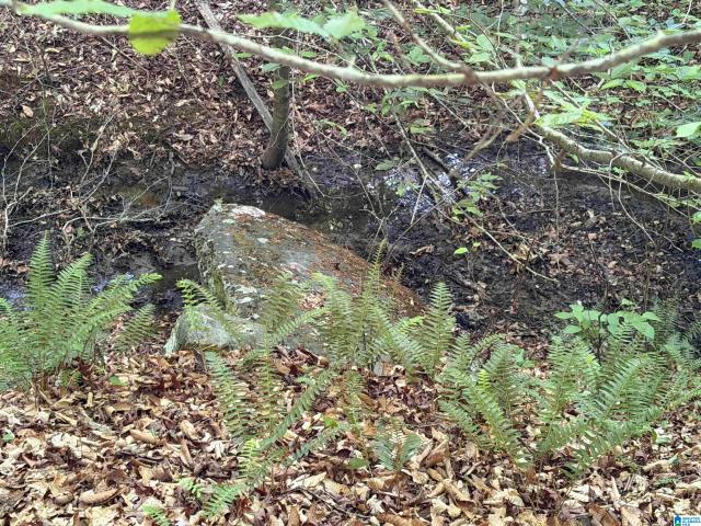 Land for sale in Roanoke, Alabama