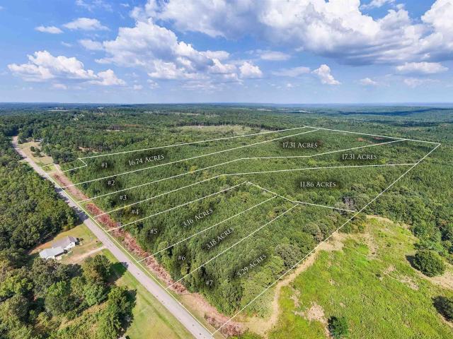 Land for sale in Roanoke, Alabama