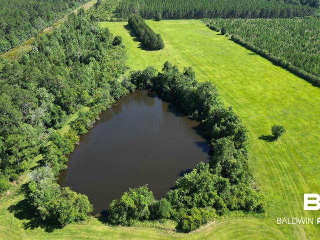Land for sale in Elberta, Baldwin County