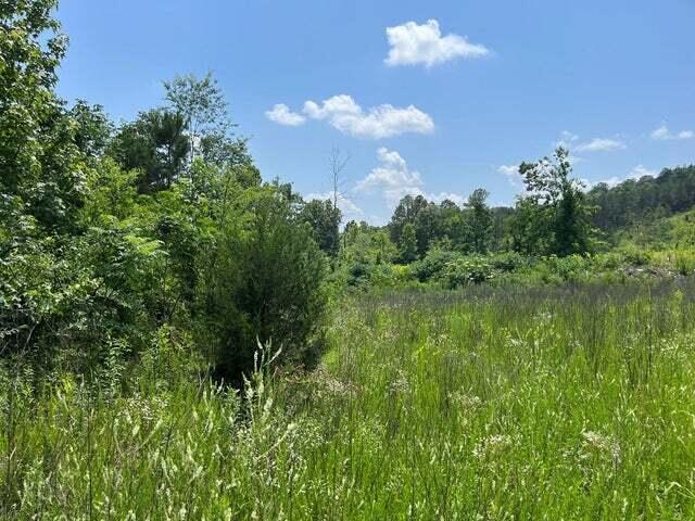 Land for sale in Tennessee