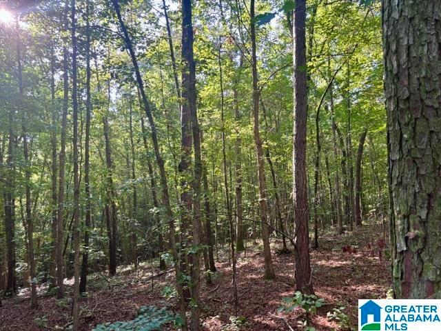 Land for sale in Alabama