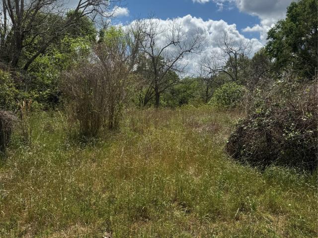 Land for sale in West Columbia, Texas